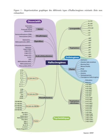 Les hallucinogènes
